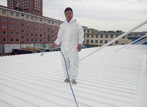 Presale White King Kong cairan lapisan berbasis air Dinding awal burung diskon pemesanan di muka manfaat promosi musiman peluncuran - Product Image 3