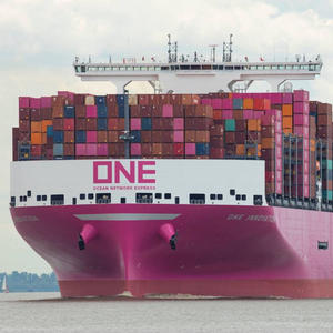 Servizio di Spedizione Marittima LCL e FCL, Consegna Porta a Porta DDP, Agente di Spedizione Marittima dalla Cina agli USA, Log Angeles, Magazzinaggio e Consegna 3PL - Product Image 4
