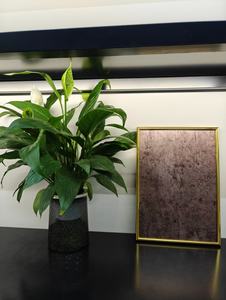 Los paneles decorativos de acero inoxidable asequibles se pueden personalizar para la cabina del ascensor de acero inoxidable - Product Image 2