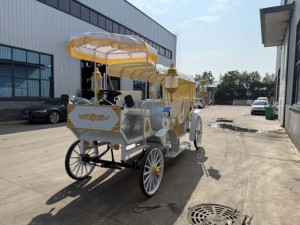 Carruaje de caballos clásico eléctrico de gran venta, asiento suave, carruaje de caballos real, turismo, carruaje romántico sin caballos a la venta - Product Image 3