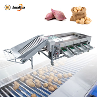 Automatisch rollen sorteersysteem met hoge capaciteit voor het sorteren van radijs, aardappel en andere fruit- en wortelgewassen.