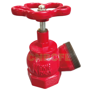 Valvola idrante angolare tipo russo CNBCFE per interni, in ghisa, portatile, facile installazione e utilizzo per la lotta antincendio - Product Image 2