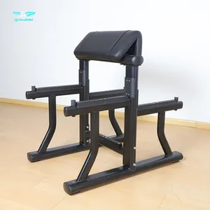 Bras Curl Banc Commercial Gym Fitness Équipement Machine Poids Libre Haltère Prédicateur Bras Curl Biceps Banc
