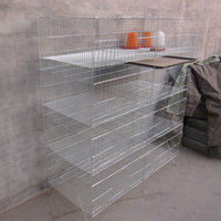 Un Type H Type 3 ou 4 Couche Volaille Cage Poulet Couche Poucher Ferme Poulet Volaille Cage Poulet Couche
