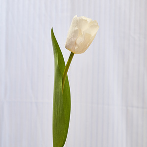 Fleurs artificielles tulipe sensation hydratante maison mariage décoration fleurs artificielles photographie fleurs en plastique - Product Image 5