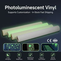 Rouleau de vinyle photoluminescent en PVC durable |   Film auto-adhésif imperméable qui brille dans le noir pendant 2 à 10 heures pour les panneaux de sortie et d'avertissement