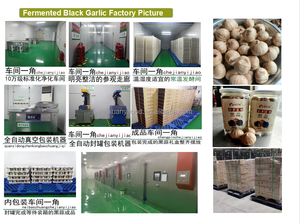 Shandong siyah sarımsak üreticisi tek ampul organik yalnız siyah sarımsak Bawang Putih Hitam - Product Image 3