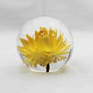 透明树脂丙烯酸Lucite镇纸雪球中嵌入的保鲜花