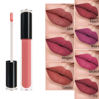 Vente en gros de produits de beauté chinois, fabricant OEM de maquillage, logo personnalisé de haute qualité, rouge à lèvres mat naturel et organique pour femmes, longue tenue 24 heures, couleur nude