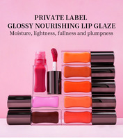 Tube carré brillant miroir brillant à lèvres laque hydratant brillant à lèvres facile à colorer maquillage liquide
