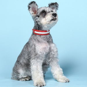 Collier réfléchissant Amason pour animaux de compagnie, rouge et noir, anti-perte, pour chiens, chats, chiots, toutes saisons - Product Image 2