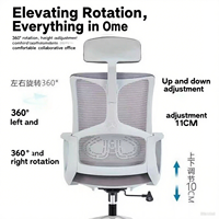 Chaises de bureau ergonomiques en plastique en gros, design pivotant moderne, hauteur réglable, cadre en acier, dossier en échelle, modèle VBD