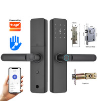 Serrure Intelligente GRATEAIEN avec Mot de Passe Virtuel, Empreinte Digitale, Accès par Carte IC, Poignée Gris Ciel Étoilé, Ensemble de Serrures Intelligentes