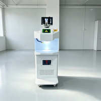 Machine de soudage au laser manuelle de petite taille à haute efficacité 200W 220V pour bijoux en or et en argent