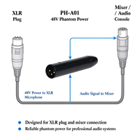 Adaptateur audio en métal 48V Phantom Power Mini XLR 4 broches vers XLR mâle 3 broches pour microphones à condensateur