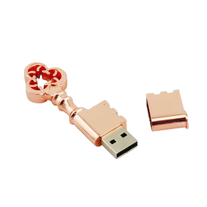 Memoria USB 2.0 de 16 GB, Nuevo Estilo, Venta al por Mayor, Caja de Regalo Creativa, Forma de Llave, Color Oro Rosa, Metálica, Linda - Product Image 1