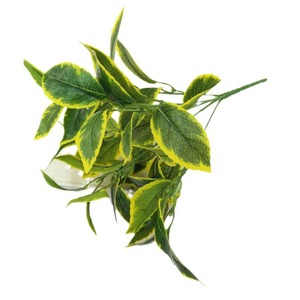 Plantes vertes artificielles Queyiyi, feuilles à bordure blanche de 30 cm à 100 cm, décoration intérieure, accessoires de photographie - Product Image 5