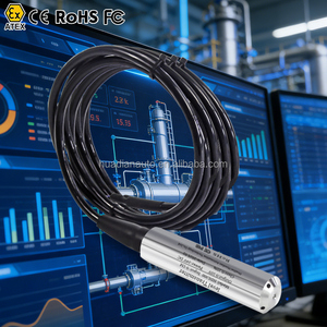 เซ็นเซอร์วัดระดับน้ำแบบไฮโดรสแตติก 4-20ma สำหรับบ่อน้ำลึก ราคาประหยัด - Product Image 1