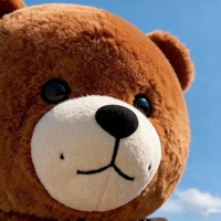 Tête de mascotte personnalisée de haute qualité Hola/tête de mascotte d'ours en peluche/tête de mascotte de dessin animé