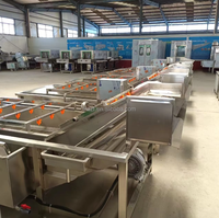 Fruit- en groenteverwerkingslijn voor het reinigen, sorteren, wassen en drogen van dadels en taugé; inclusief een bubbelwasmachine.