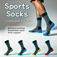 Chaussettes de sport en maille respirante, absorbant l'humidité, avec soutien de la voûte plantaire, en polyester tricoté, à blocs de couleur et amortissantes