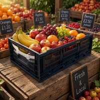 Boîte de rangement en plastique pour fruits et légumes, en PP, empilable, pliable, emboîtable, recyclable