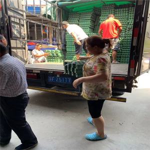 Hdpe plastique herbe paveuse <span class=keywords><strong>gravier</strong></span> <span class=keywords><strong>stabilisateur</strong></span> grille de plantation 50mm de hauteur <span class=keywords><strong>nid</strong></span> <span class=keywords><strong>d</strong></span>'<span class=keywords><strong>abeille</strong></span> <span class=keywords><strong>gravier</strong></span> <span class=keywords><strong>stabilisateur</strong></span> allée pavage grille - Product Image 3