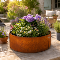 Grand bac à plantes rond en acier Corten pour jardin extérieur, jardinière surélevée en forme d'anneau d'arbre, patine pour jardin extérieur (50 cm)