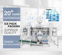 Máquina Profesional Personalizada para Empacar Almohadillas de Refrigeración, Paquetes de Hielo para Congelador, para el Transporte de Carne, Mariscos y Frutas, Mantiene la Frescura