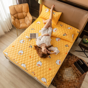 Nữ Hoàng Kích Thước Tùy Chỉnh Không Thấm Nước Giường Bụi Bìa Đồng Bằng Phong Cách Nệm Bảo Vệ Với Nước Tiểu Cách Ly Cho Nhà Sử Dụng Bán Buôn Bảo Vệ - Product Image 1