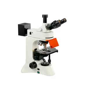 Microscopio de fluorescencia Boshida con luz óptica, microscopio para investigación en genética e Inmunología
