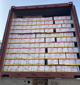 Châtaignes d'eau pelées surgelées LQF de qualité supérieure en gros, 25 kg, pour des repas sains et des applications culinaires polyvalentes - Product Image 6