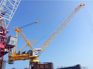 Grue à tour de chantier WD80 1840 - Product Image 4