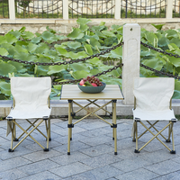 Table de camping portable moderne design pliable fer étanche pour les pique-niques de plage en plein air pour l'entrepôt hôtel parc villa utilisation