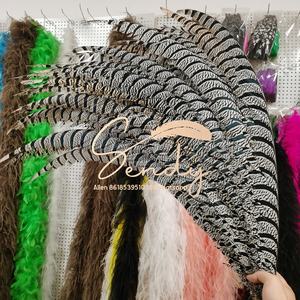 Bán Buôn 100-110Cm Dài Tự Nhiên Ngựa Vằn Phụ Nữ Amherst Gà lôi Đuôi Lông Cho Lễ Hội Lễ Hội Samba Trang Phục Trang Trí - Product Image 4