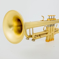 Wholesale Custom Gold Lacquer Surface Heavy Duty Professional Bb Key Trumpet Matte Brushed Finish Factory Brass Wind Instruments