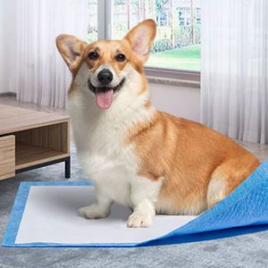 Tapis d'apprentissage pour chiens jetables, écologiques, ultra-absorbants, imperméables, avec SAP - Product Image 3
