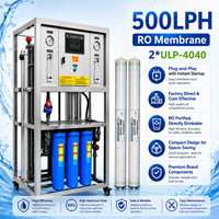 Machine de purification d'eau RO 500L/H en acier inoxydable pour petites entreprises, purificateur d'eau potable par osmose inverse