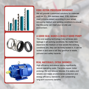 Máy bơm trục vít vệ sinh đơn Chất lượng cao tùy chỉnh để gia công mứt trái cây với khả năng tự mồi tốt - Product Image 4