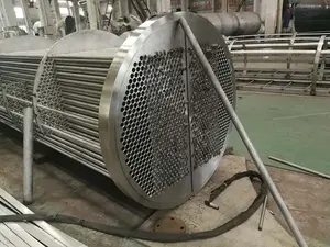 Scambiatore di calore a tubo interno in titanio SS304 in acciaio inossidabile industriale