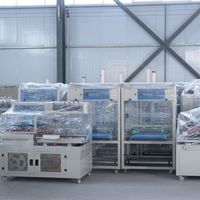 Machine de rétraction thermique automatique haute performance à tunnel d'air chaud pour films POF, feuilles, livres, articles de première nécessité, boîtes cadeaux et mousse