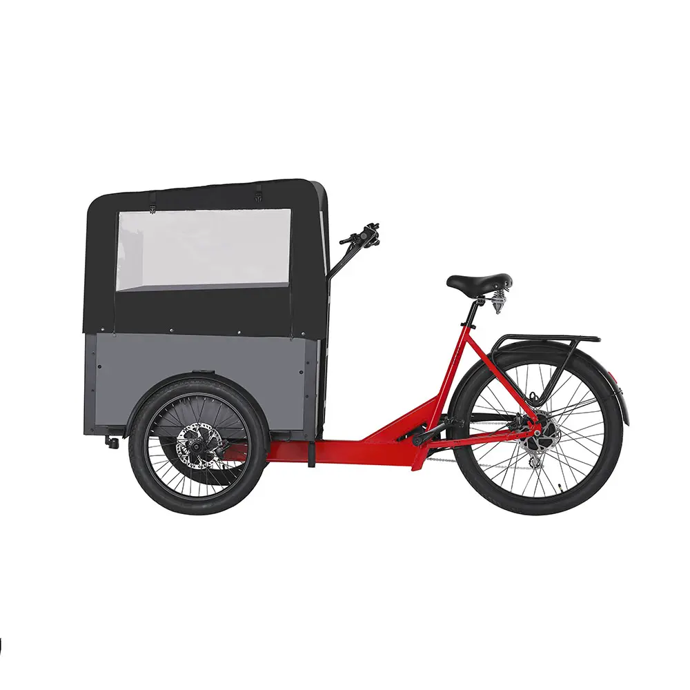 OEM ODM Großhandel dreirädriges Familien-Cargo-E-Bike für Erwachsene, Cargo-Dreirad Elektrofahrrad