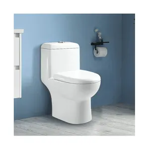 New Products Supply Elegant Design White Ceramic Floor Mounted Siphonic S-trap 1 Piece Wc Bathroom Toilet For Sale