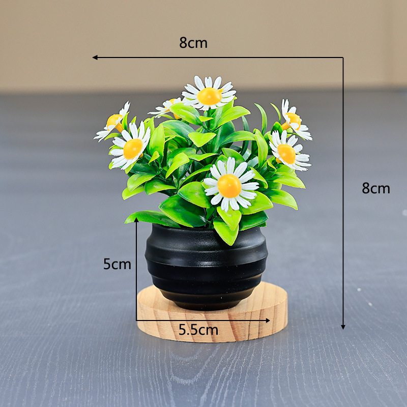 White [Black Pot]