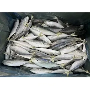 China export round scad fish 6-8 pcs/kg whole round fish muroaji fresh frozen round scad 100-120 7-9 on sale