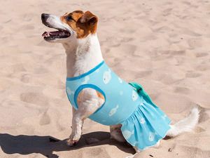 שמלת כלב קיץ בגדי חיות מחמד חולצה נושמת חיית מחמד עם דפוסי דגים מצוירים שמלת חצאית בגדים להתאמה אישית - Product Image 5