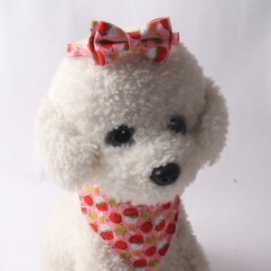 Amigo New Pet Products Vegetable Series Eggplant Tomato Potato <strong>Bow</strong> <strong>Triangle</strong> Scarf Cat Collar - Product Image 6