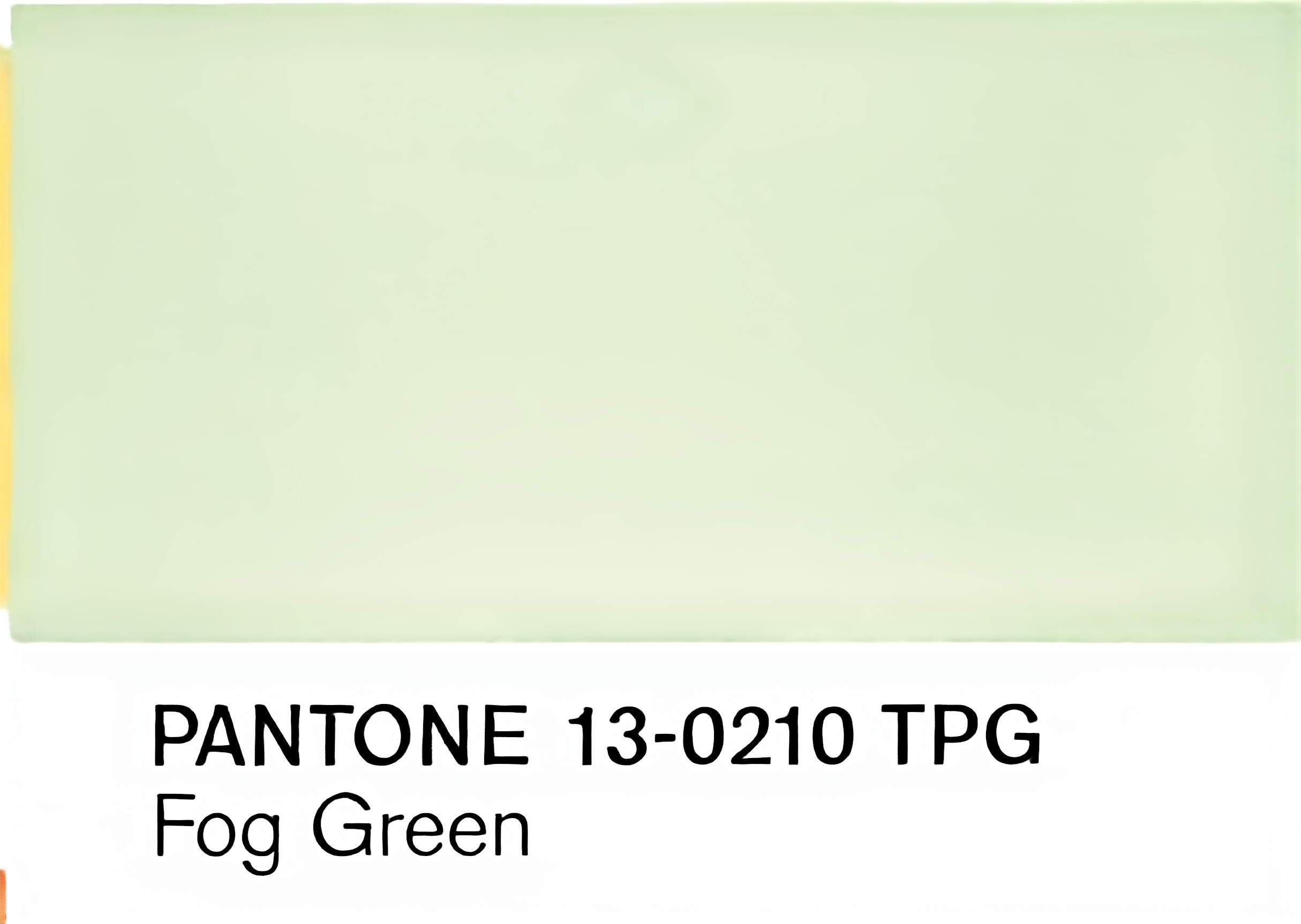 Vert brume