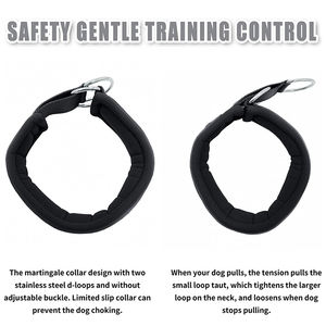 Custom Kleur Neopreen Martingaal Reflecterende Nylon Halsband - Product Image 2