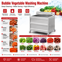 BlinkSong BS-QX300 Commerciële Groentewasser 200kg/u 304 RVS Belletjes Fruit- en Groentewasmachine voor Restaurant